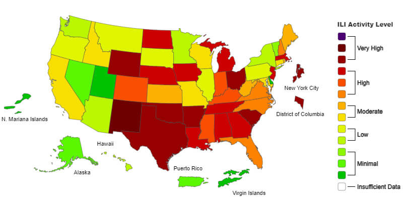 National Flu Activity Map